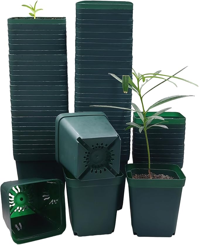 Square Nursery Seedling Pot 3.5 Inches 90 Pcs, Small Nursery Pot Plastic Thick by RooTrimmer