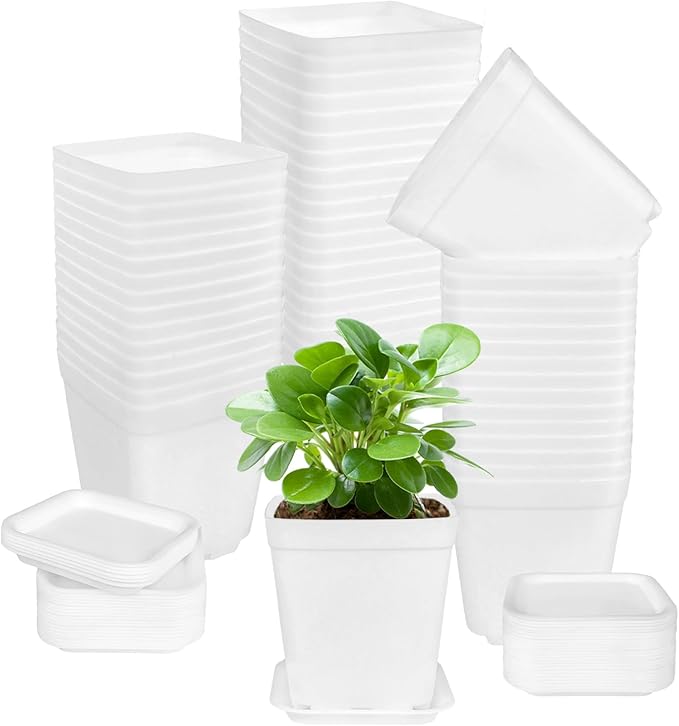OJYUDD 72 Pcs 3 Inch White Square Plastic Pots by OJYUDD