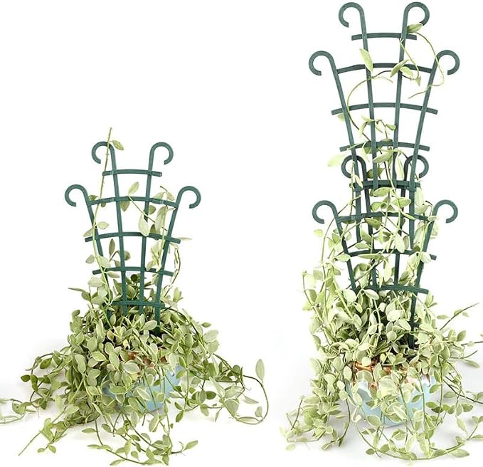 6PCS Trellis for Potted Plants, Stackable Indoor Plant Trellis for Climbing - Image 2