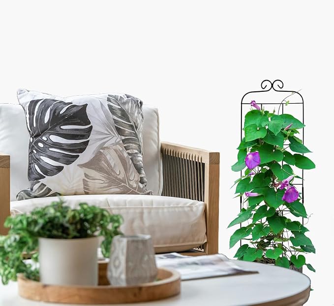 4 Pack 31'' Plant Trellis for Climbing Plants Indoor & Outdoor, Metal Trellis - Image 6