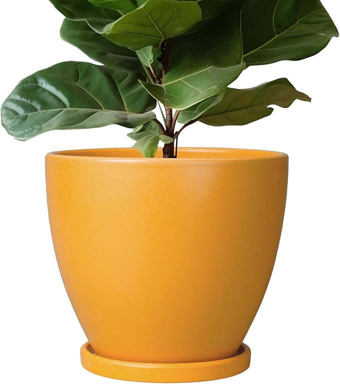 10 Inch Plant Pot by EPFamily