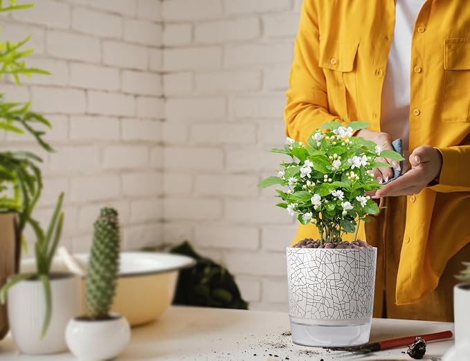 Self Watering Pots for Indoor Plants, 5 & 4 Inch Stylish Flower Pots - Image 5