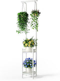 Plant Stand Indoor Outdoor by Homsorout