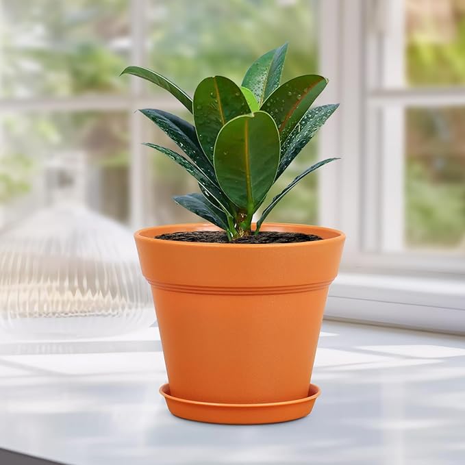 4 inch Small Plastic Nursery Pots, 16 Pack Plant Pots - Image 6