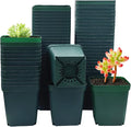 Square Nursery Succulent Pots 4 Inches 60 Pcs Deep Flower Plant Nursery by RooTrimmer