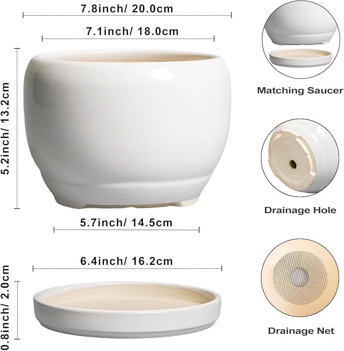 SQOWL Ceramic Planters for Indoor Plants - Image 3