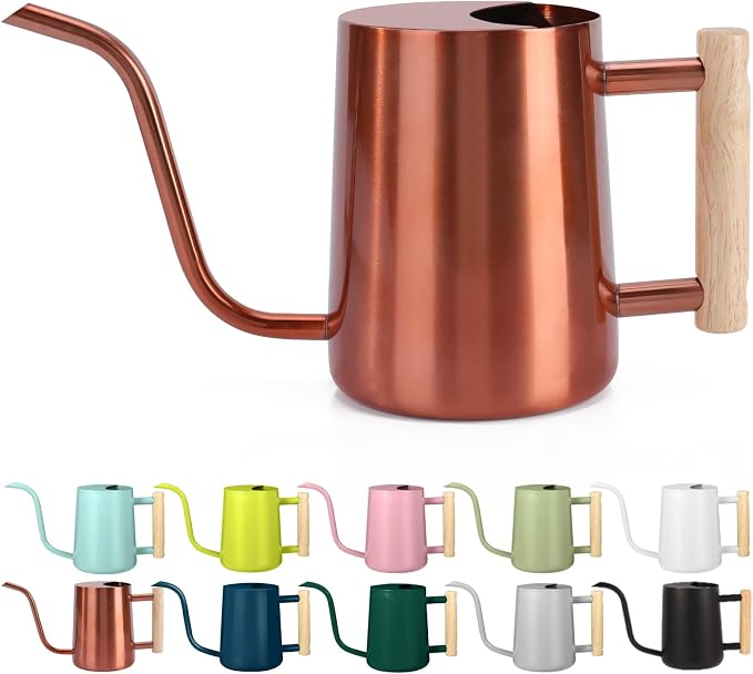 Watering Can Indoor Plants, 35oz Small Stainless Steel Metal Watering Can by GUKJOB