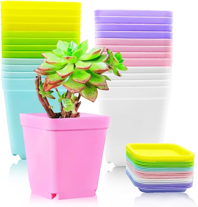 Haawooky 24 Pack Colorful Flower Pots Square Plastic Plant Pots Succulent by Haawooky