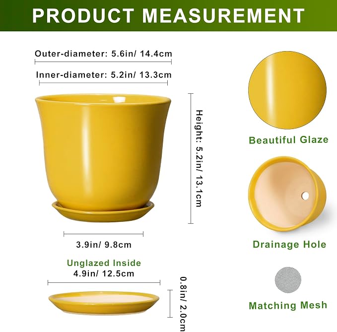Ceramic Plant Pots - Image 2