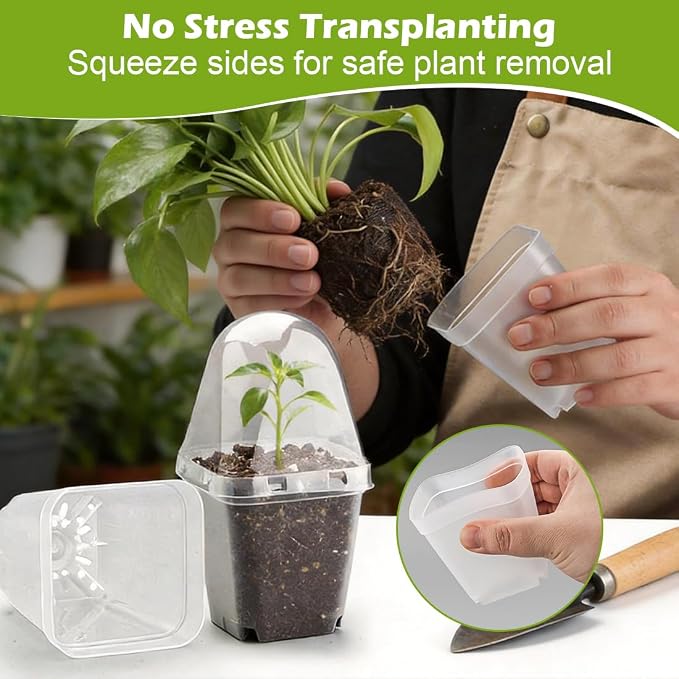 2.7 Inch Square Nursery Pots - Image 6
