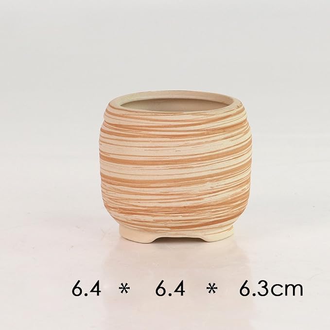 Sun-E 6 in Set 7.6 cm Ceramic Wooden Pattern Succulent Plant Pot Cactus Plant - Image 4