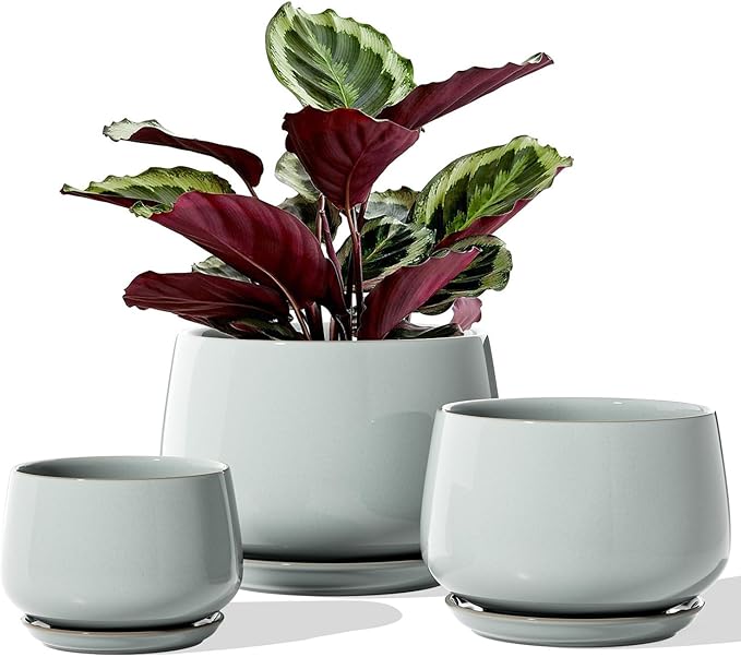 LE TAUCI Plant Pots for Indoor Plants, 4.1+5.1+6.5 inch, Ceramic Planters by LETAUCI