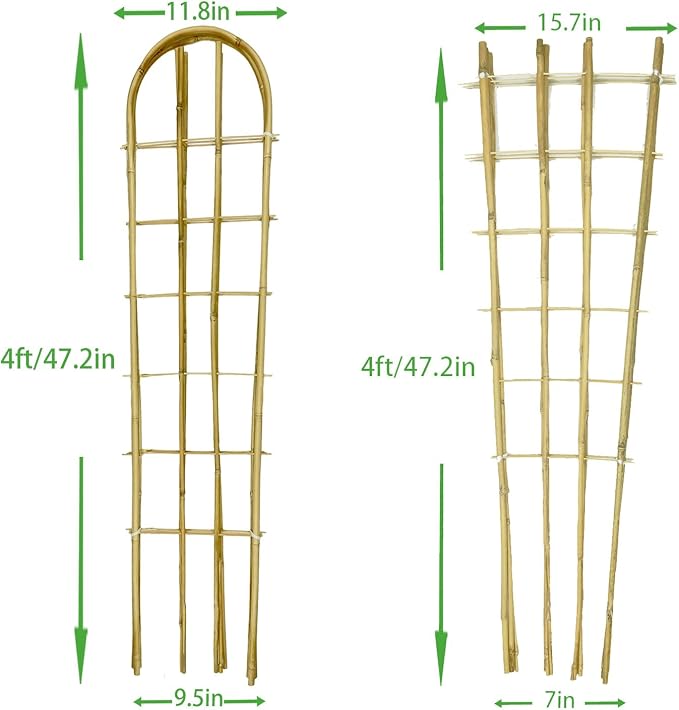 Natural Bamboo Trellis, Fan-Shaped+U-Shape, Plant Support Trellis - Image 2