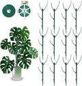 12 Pack Stackable Monstera Plant Support Stakes, 90inch Climbing Plant Sticks by YOYOKIT