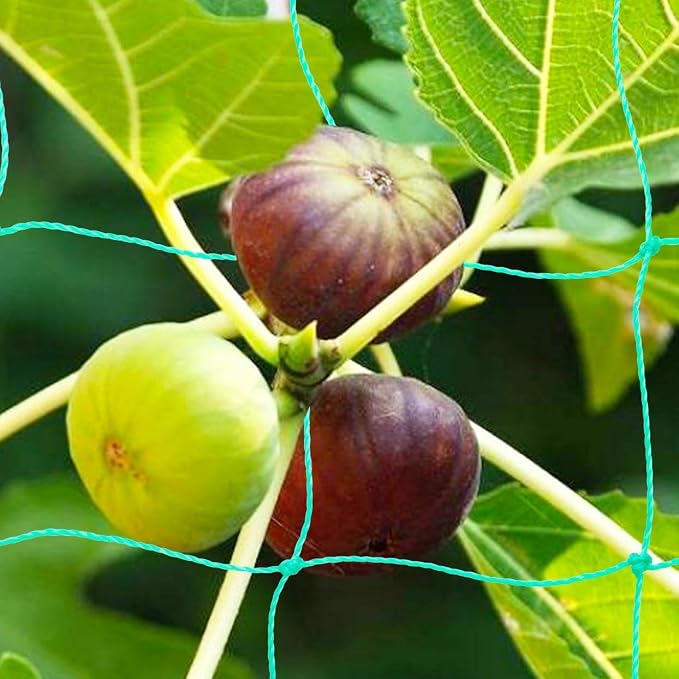 Pack of 2 Cucumber Tomato Trellis Netting, Heavy Duty Garden Netting - Image 4