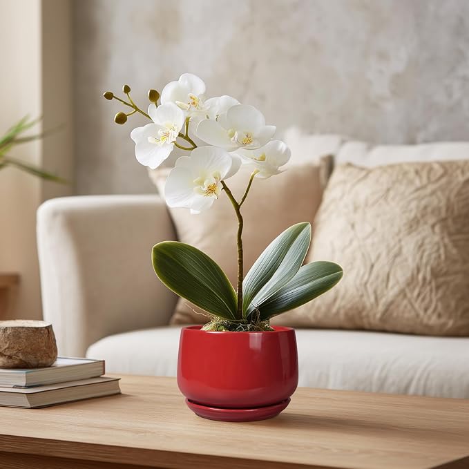 G EPGardening Ceramic Pots for Plants - Image 5