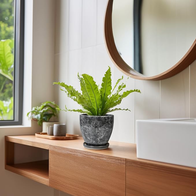Ceramic Pots for Plants - Image 7