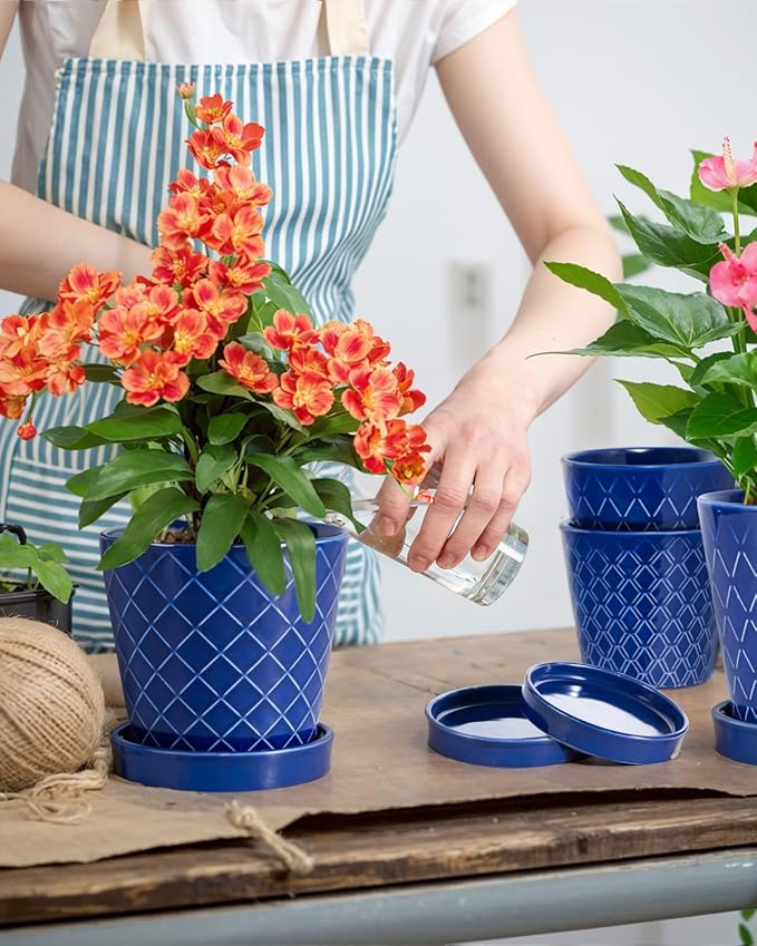 BUYMAX Ceramic Plant Pots –5 inch Indoor Flower Pot - Image 3