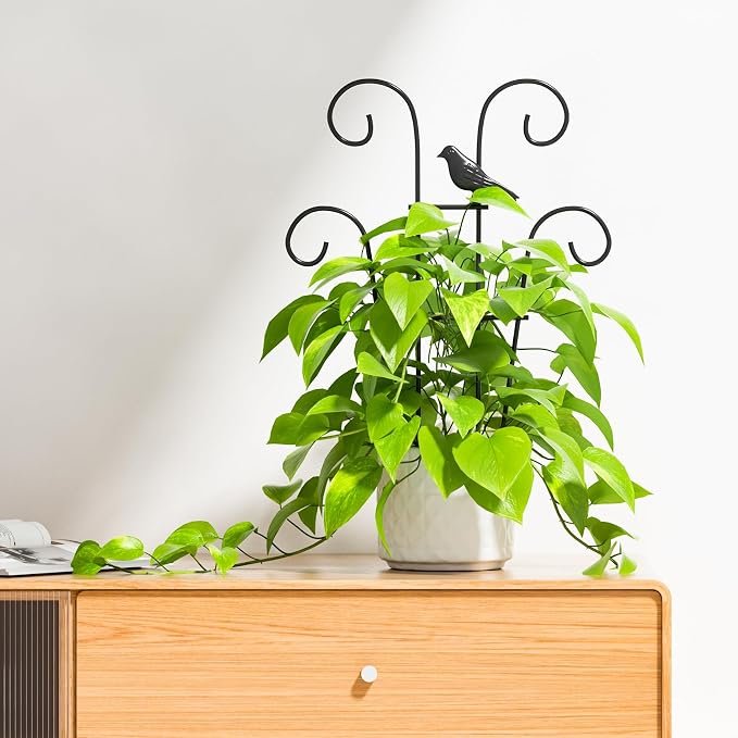 Indoor Plant Trellis for Climbing Plants, Stackable Garden Trellis for Potted - Image 9