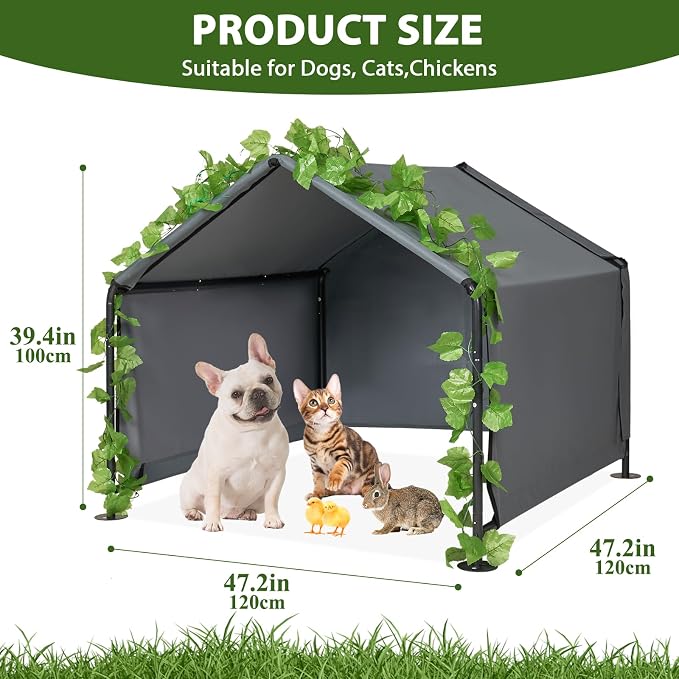 Large Dog Shades for Outside - Image 2