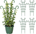 Plant Support Stakes, Stackable Plant Trellis by Unknown