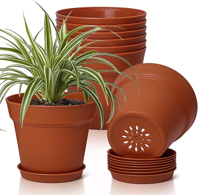 T4U 6 Inch Plant Pot 8-Pack, Plastic Planter by T4U