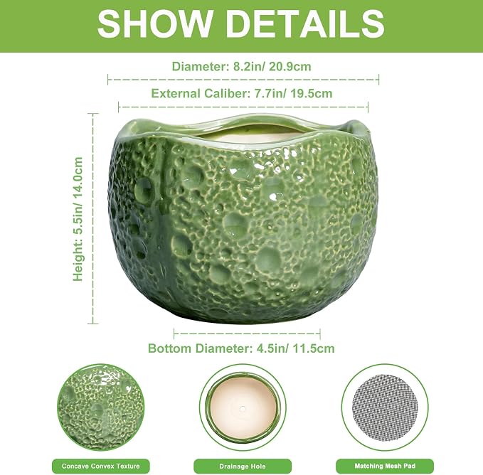 8 Inch Plant Pot - Image 2