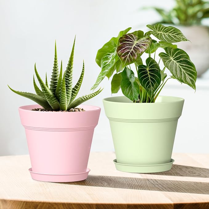 5 Inch Plastic Plant Pots with Drainage Holes and Trays – 6 Pack Small Nursery - Image 6