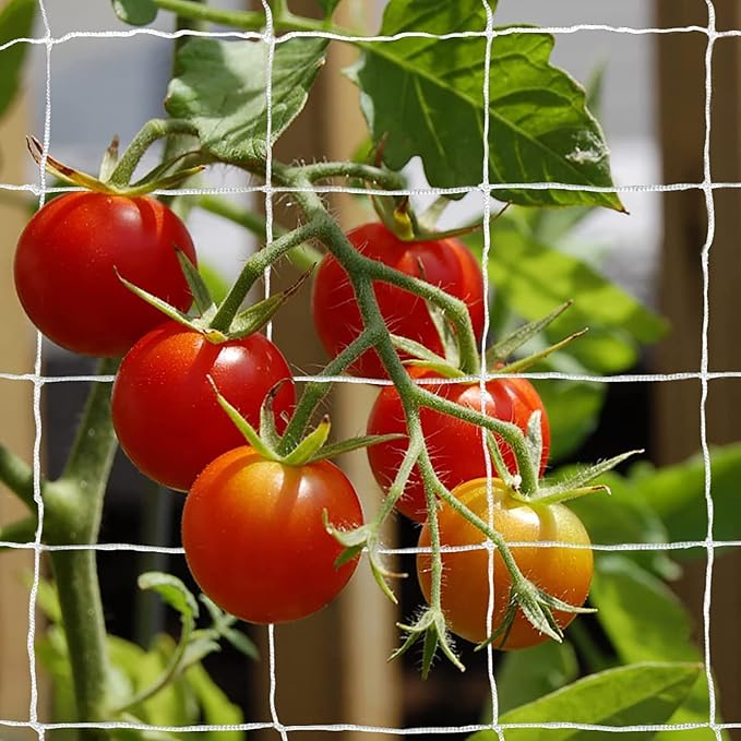 Tcamp Heavy-Duty Polyester Plant Trellis Netting 5 x 30ft by Tcamp
