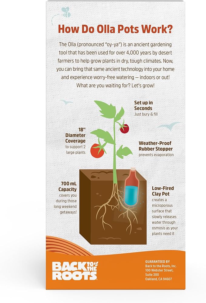 Back to the Roots Self-Watering Terracotta Olla Pot, 700mL Provides 1 Week of - Image 3