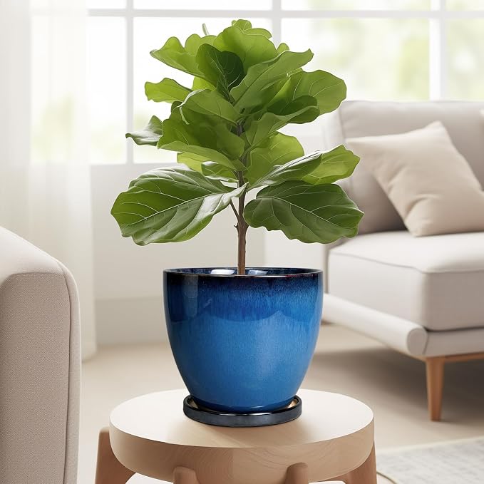 Ceramic Planters for Indoor Plants - Image 4