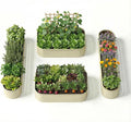 4-Pack 18” Tall Galvanized Raised Garden Beds – Small Space Garden Layout by Annoell
