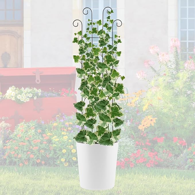 4 Pack 32'' Wave Shape Black Metal Trellis - Image 7