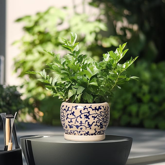 SQOWL Ceramic Flower Pots - Image 4
