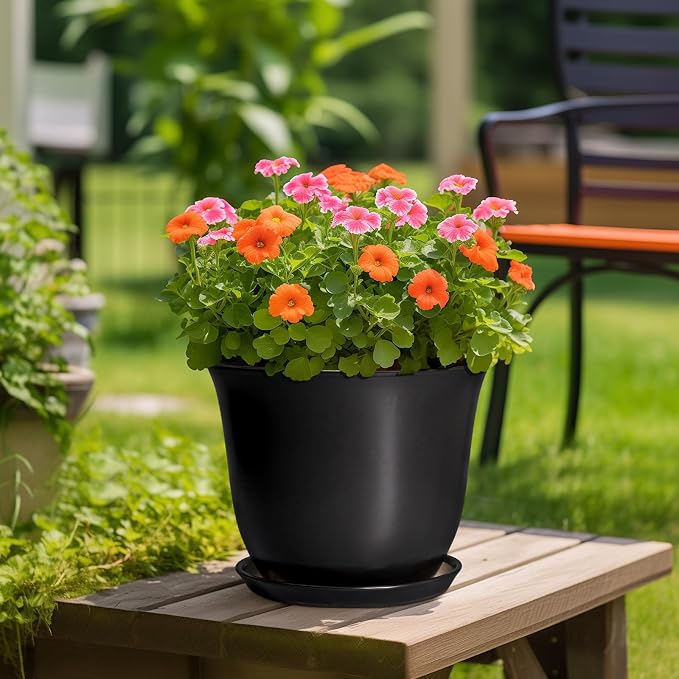 Ceramic Plant Pots - Image 4