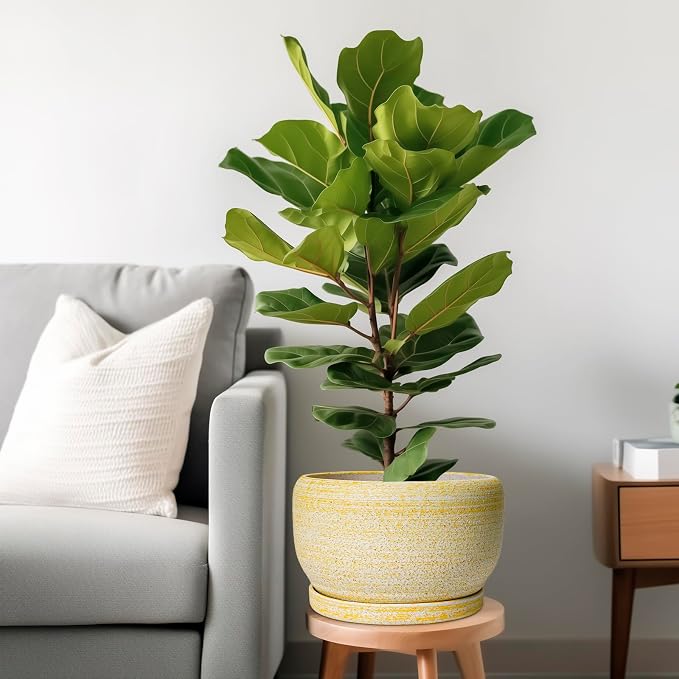 SQOWL Ceramic Planters for Indoor Plants - Image 2