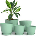 Utopia Home - Plant Pots Indoor - 7/6.6/6/5.3/4.8 Inches Home Decor Flower Pots by UTOPIAHOME