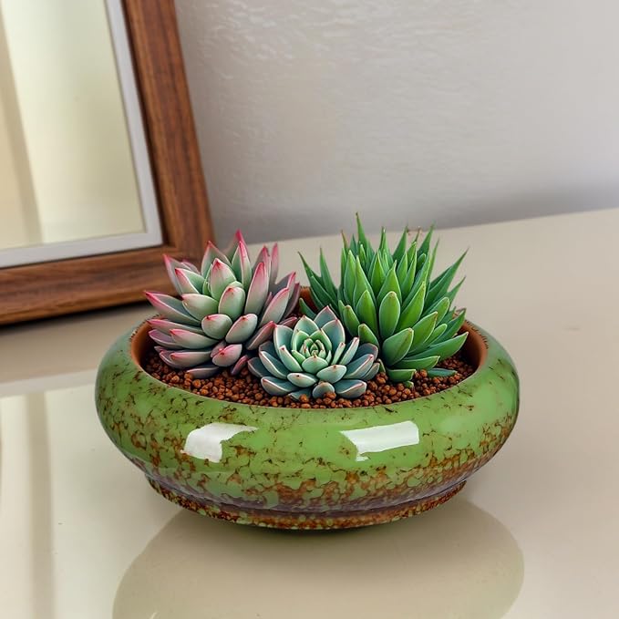 7.3 Inch Succulent Planters Pots Shallow Ceramic Glazed Planter Pots, Lotus - Image 5