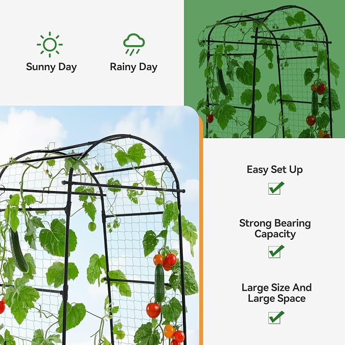 Lalahoni Garden Arch Trellis for Climbing Plants Outdoor, 80 Inch Tall Grape - Image 4