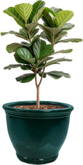 Sunnydaze Large Ceramic Plant Pot by SunnydazeDecor