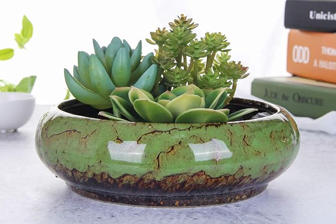 VanEnjoy 7.3 inch Round Large Shallow Succulent Ceramic Glazed Planter Pots - Image 3