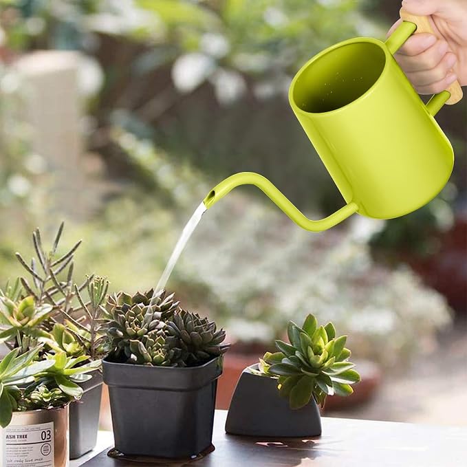 Watering Can Indoor Plants, 35 oz/1000 ml Metal Stainless Steel Watering Can Pot - Image 3