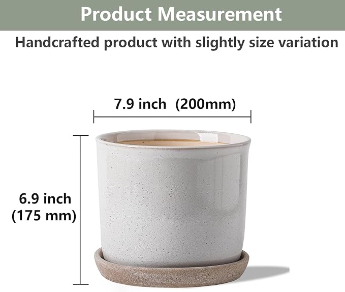 8 Inch Plant Pot: Ceramic Planter - Image 2
