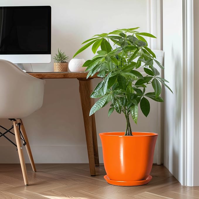 12 Inch Pots for Plants - Image 3