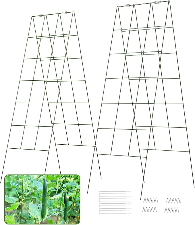 DOEWORKS Cucumber Trellis, 2 Pack, Plant Support - Image 5