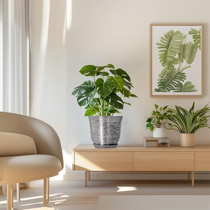 Ceramic Pots for Plants - Image 7