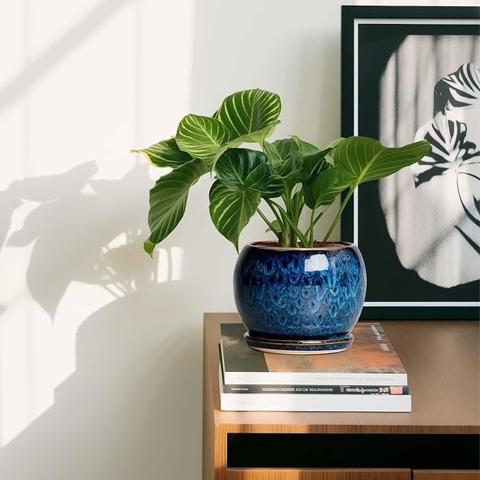 SQOWL 6 Inch Plant Pot - Image 7