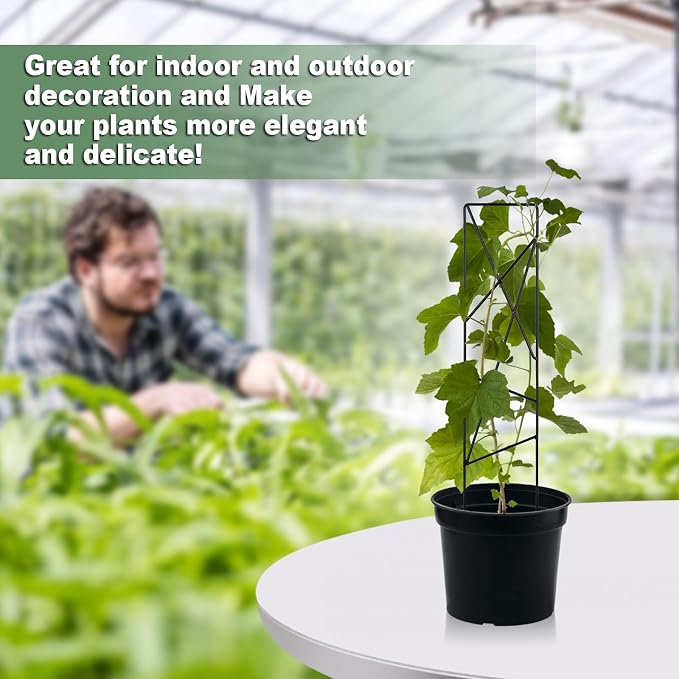 17.5 Inch Indoor Plant Trellis for Climbing Plants, Metal Trellis, Small Garden - Image 6