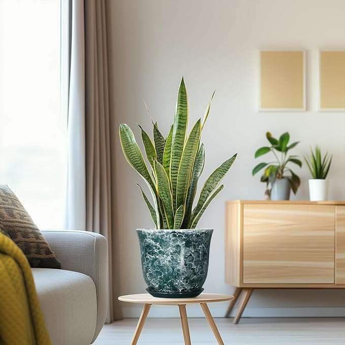 8 Inch Plant Pot - Image 5