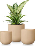 vancasso Ceramic Plant Pots, 4+5+6 inches, Planters by vancasso
